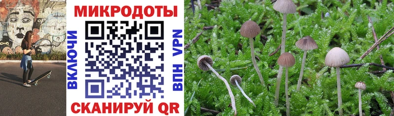 Галлюциногенные грибы Magic Shrooms  как найти наркотики  Бронницы 